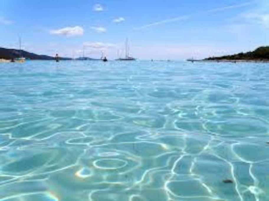Apartment Lordanic Zaglav, Dugi Otok Bagian luar foto