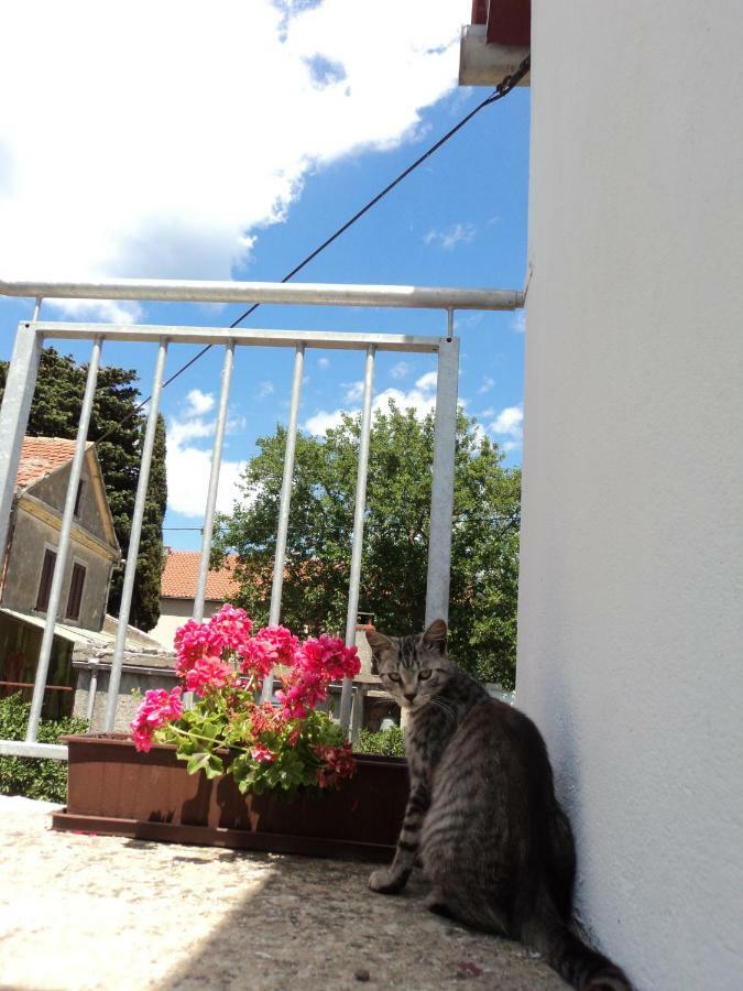 Apartment Lordanic Zaglav, Dugi Otok Bagian luar foto
