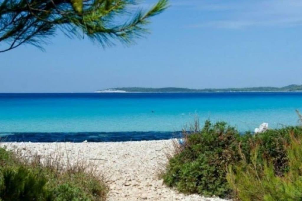 Apartment Lordanic Zaglav, Dugi Otok Bagian luar foto